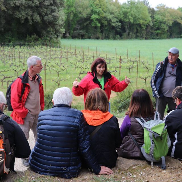 Une balade en garrigue